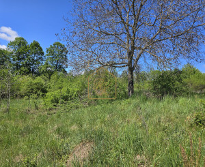 EXKLUZÍVNE - dom s pozemkom - 5642m2 - Dačov Lom