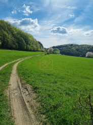 EXKLUZÍVNE - Veľké Pole, rozľahlý pozemok na samote - 16157m2