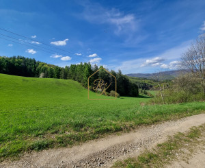 EXKLUZÍVNE - Veľké Pole, rozľahlý pozemok na samote - 16157m2