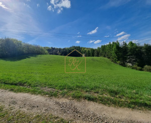 EXKLUZÍVNE - Veľké Pole, rozľahlý pozemok na samote - 16157m2
