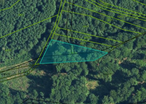 ZNÍŽENÁ CENA - Muránska Lehota - intravilán/extravilán