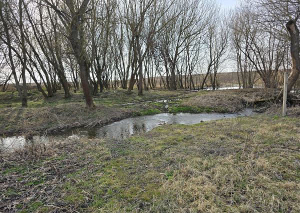 Stavebný pozemok - Pohronský Ruskov - 2733m2