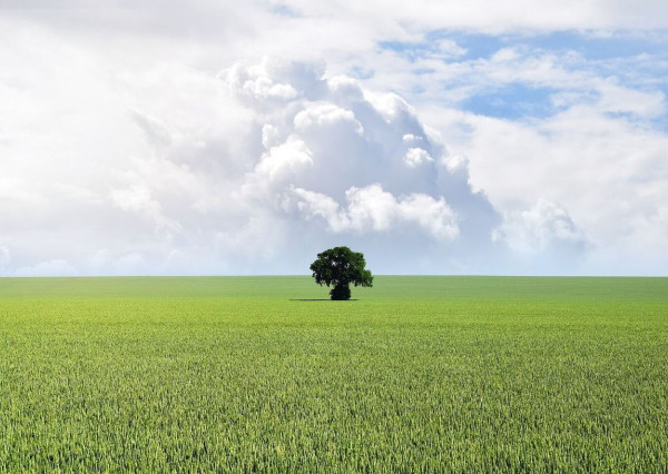 Väčší stavebný pozemok s povolením a projektom na Zobore