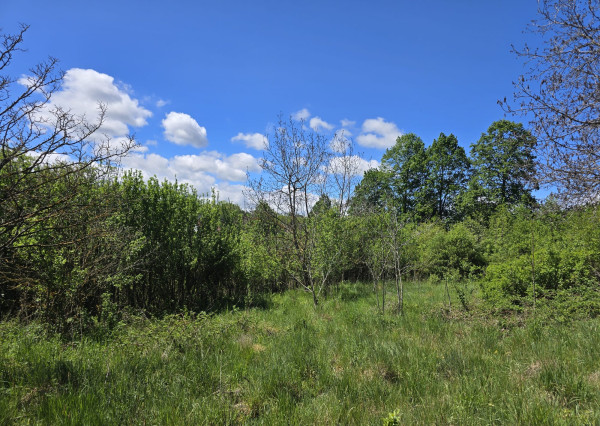 EXKLUZÍVNE - dom s pozemkom - 5642m2 - Dačov Lom