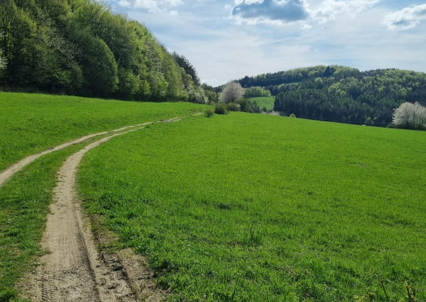 EXKLUZÍVNE - Veľké Pole, rozľahlý pozemok na samote - 16157m2