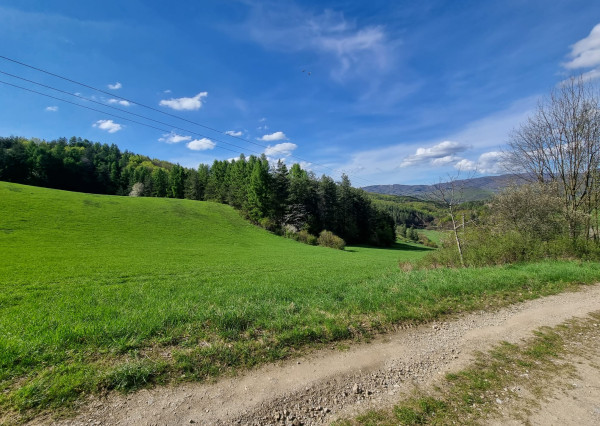 EXKLUZÍVNE - Veľké Pole, rozľahlý pozemok na samote - 16157m2