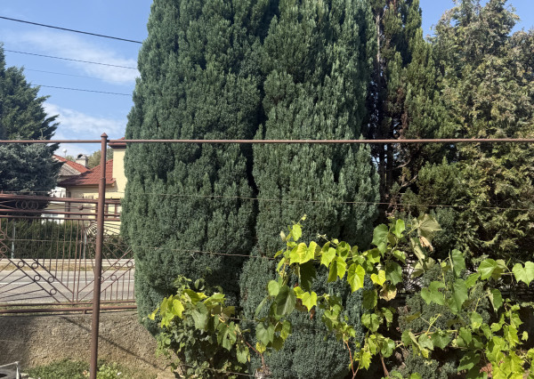 Znížená cena domu v Štitároch, s 10 árovou záhradou