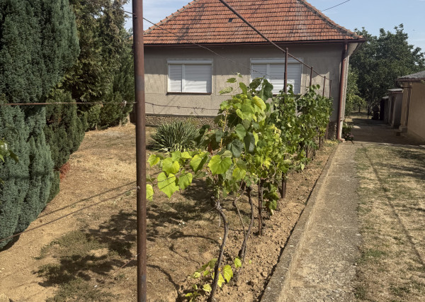 Znížená cena domu v Štitároch, s 10 árovou záhradou