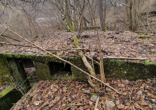 ZNÍŽENÁ CENA - Rekreačný pozemok - Horná Maríková - 1578m2