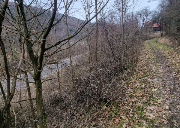 ZNÍŽENÁ CENA - Rekreačný pozemok - Horná Maríková - 1578m2