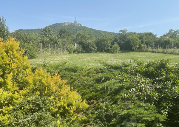 INVESTIČNÁ PRÍLEŽITOSŤ – LUKRATÍVNY POZEMOK NITRA – ZOBOR