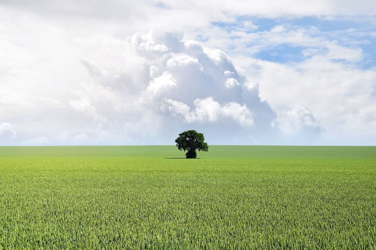 Na predaj krásny, ucelený a rovinatý pozemok v MČ Janíkovce