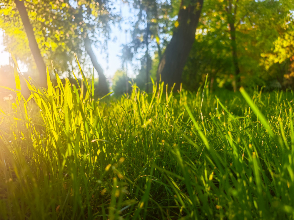 LUKRATÍVNY STAVEBNÝ POZEMOK – NITRA, ZOBOR (LUPKA)